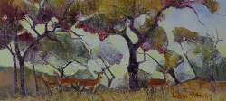 Kruger Park Trees with Impala 1 | 2019 | Oil on Canvas | 36 x 51 cm